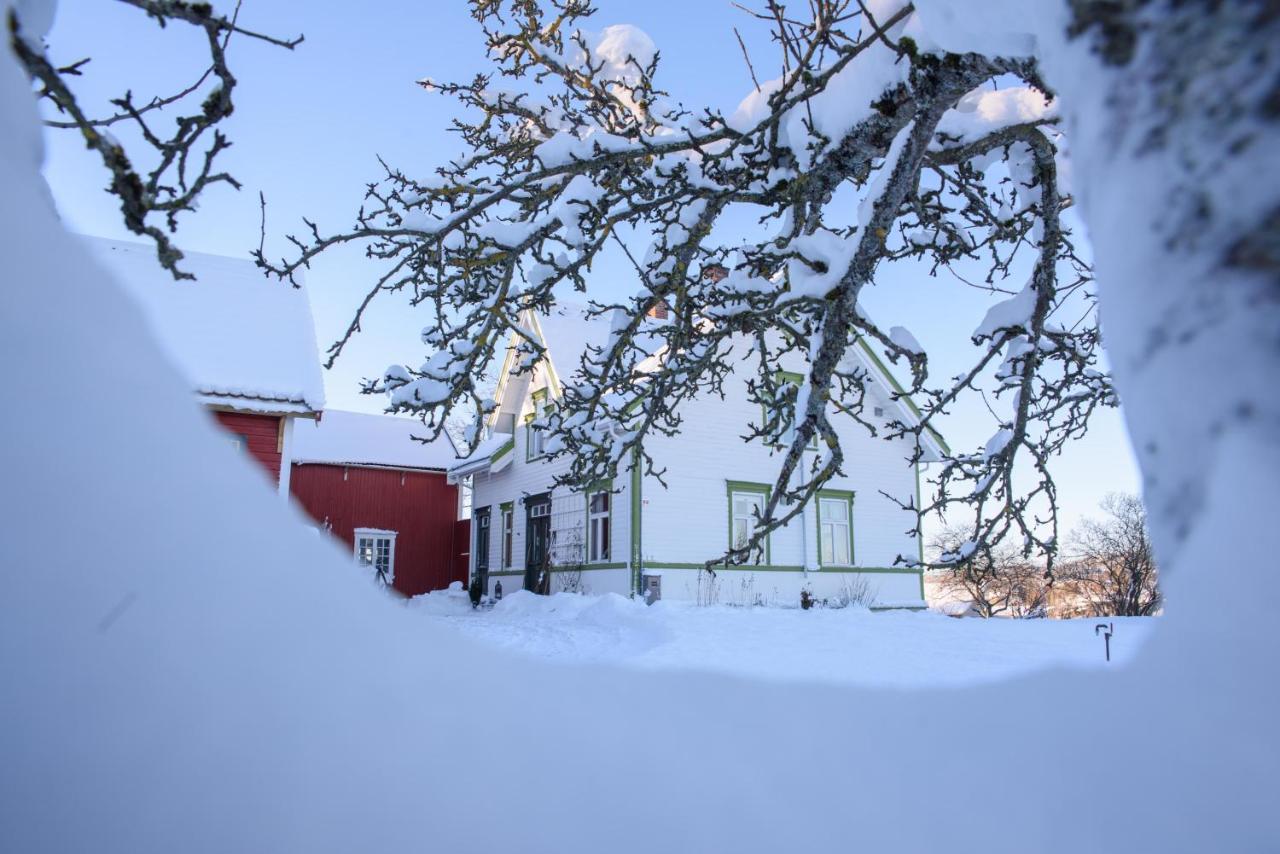 Stromnes - Oldefars Gjestehus Inderoy Straumen  Exteriér fotografie